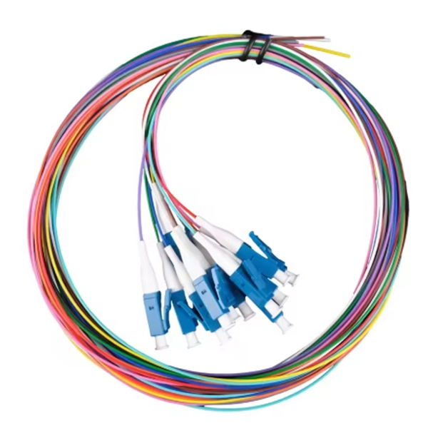 Patch panel with optical module